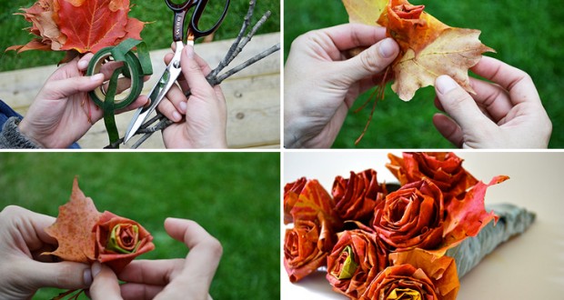 maple-leaf-roses-collage-620x330